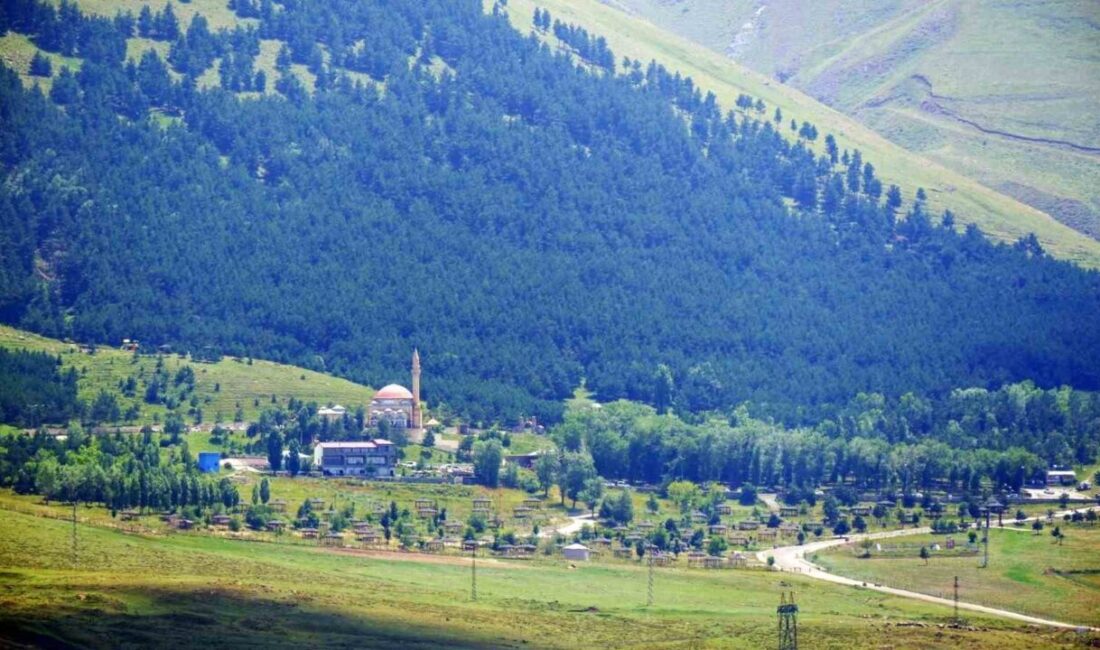 Erzurum’da orman yangınlarına karşı bir dizi tedbirler alındı Erzurum Valiliğince, orman yangınlarına karşı il genelinde bir dizi tedbir
