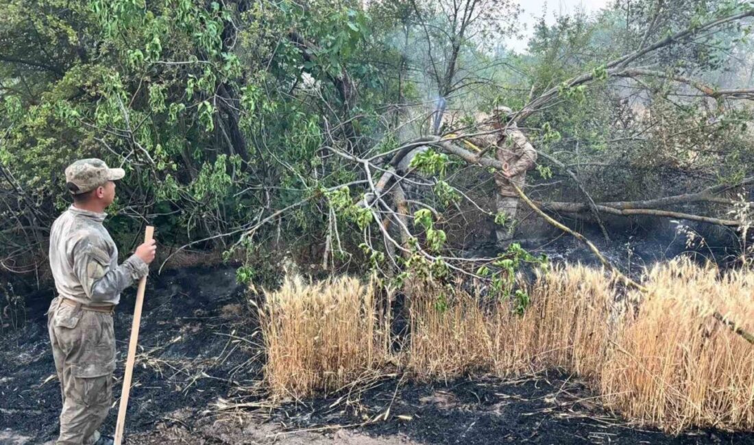 Bilecik’te gerçekleşen orman yangınına desteğe giden Eskişehir Jandarma Asayiş Komando