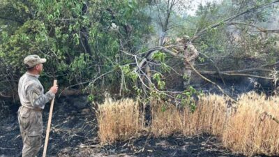 Bilecik’te gerçekleşen orman yangınına desteğe giden Eskişehir Jandarma Asayiş Komando