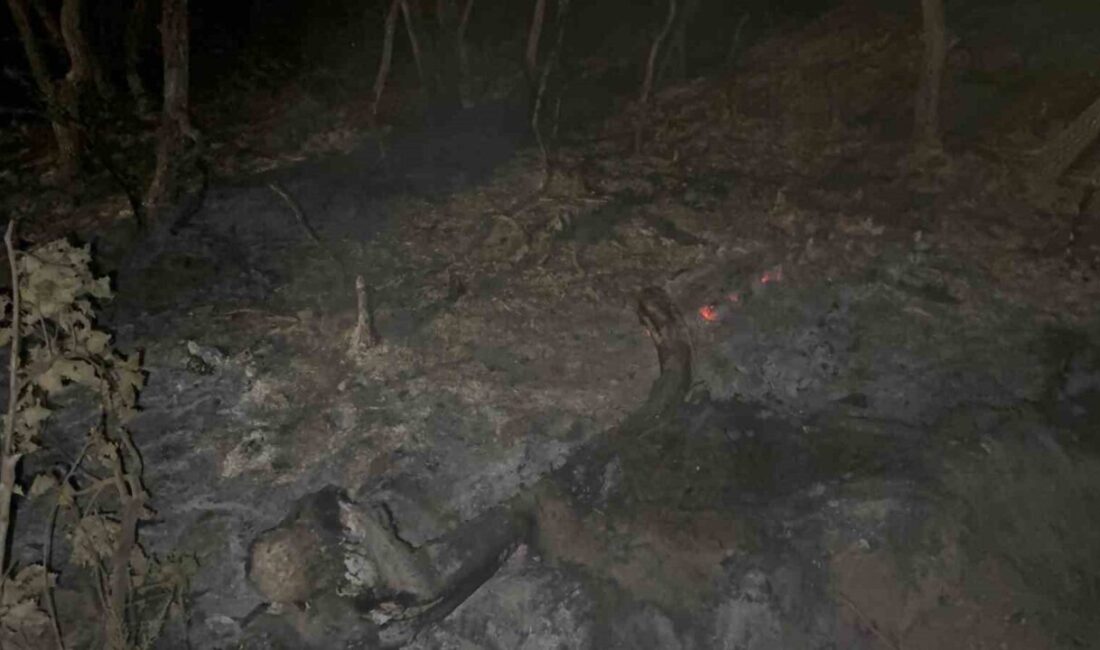 Kocaeli’nin Gebze ilçesinde gece saatlerinde çıkan orman yangınında 7 dönümlük