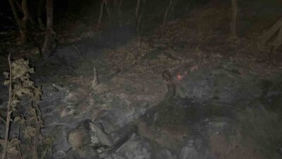 Kocaeli’nin Gebze ilçesinde gece saatlerinde çıkan orman yangınında 7 dönümlük