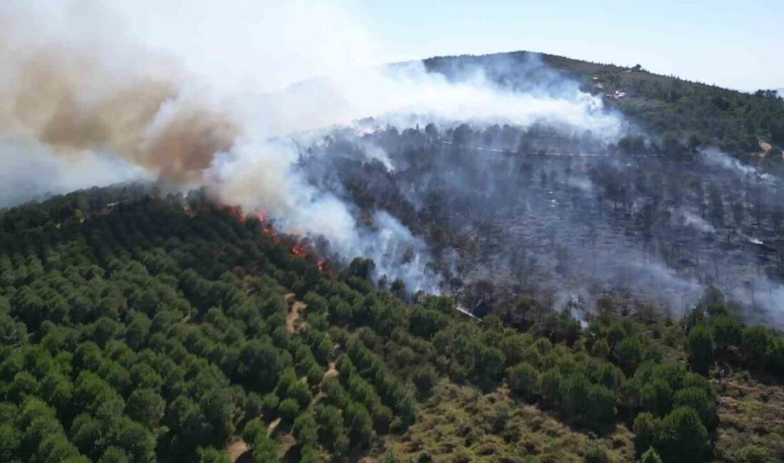 Kocaeli’nin Gebze ilçesinde ormanlık alanda çıkan yangın, havadan ve karadan