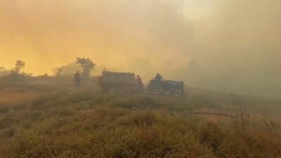 Kocaeli’nin Gebze ilçesinde ormanlık alanda çıkan yangını söndürme çalışmaları sürüyor.