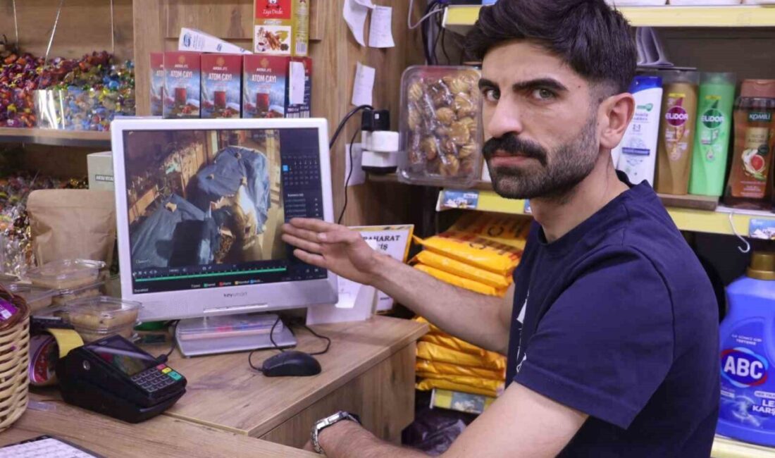 Sivas’ta gece vakti kuruyemiş dükkanından hırsızlık yapan gençler güvenlik kameralarına