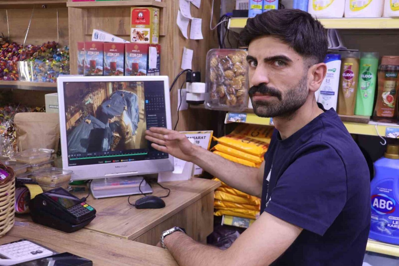 Sivas’ta gece vakti kuruyemiş dükkanından hırsızlık yapan gençler güvenlik kameralarına