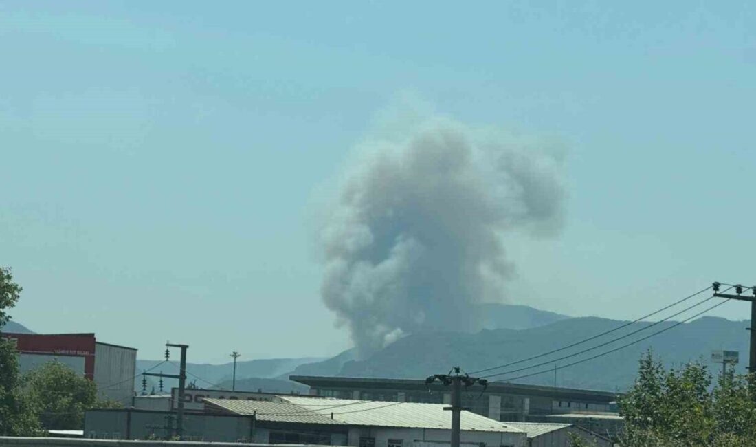 Sakarya’nın Geyve ilçesinde farklı mevkide yeni bir orman yangını daha