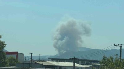 Sakarya’nın Geyve ilçesinde farklı mevkide yeni bir orman yangını daha