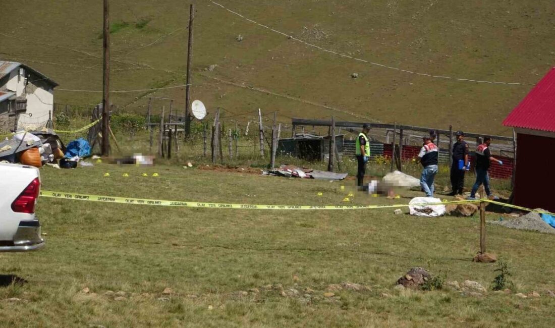 Giresun’un Kümbet Yaylası’nda mera kavgası nedeniyle çıkan silahlı kavgada hayatını