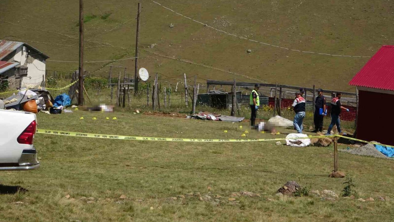 Giresun’un Kümbet Yaylası’nda mera kavgası nedeniyle çıkan silahlı kavgada hayatını