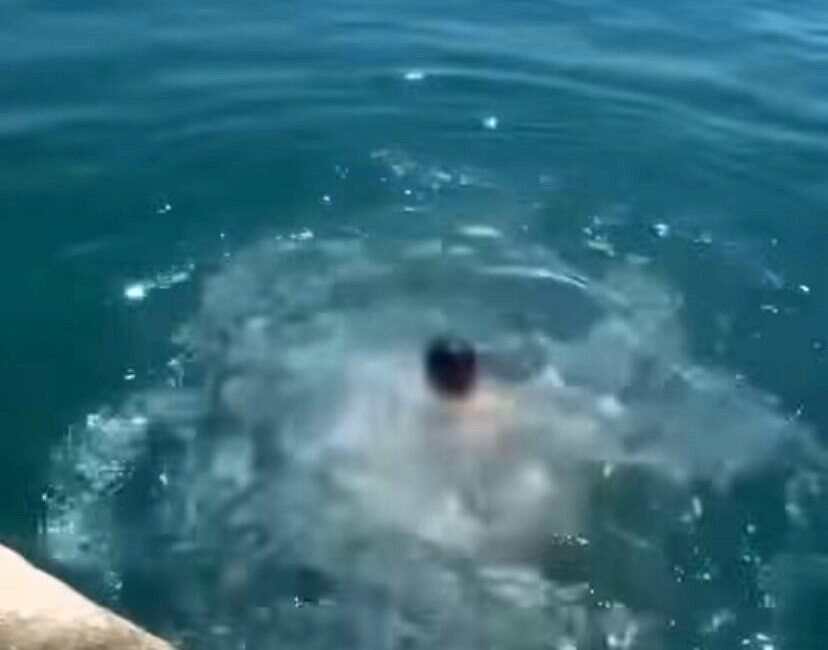 Giresun’un Bulancak ilçesinde yüzme bilmemesine rağmen suya atlayan ve çırpınmaya