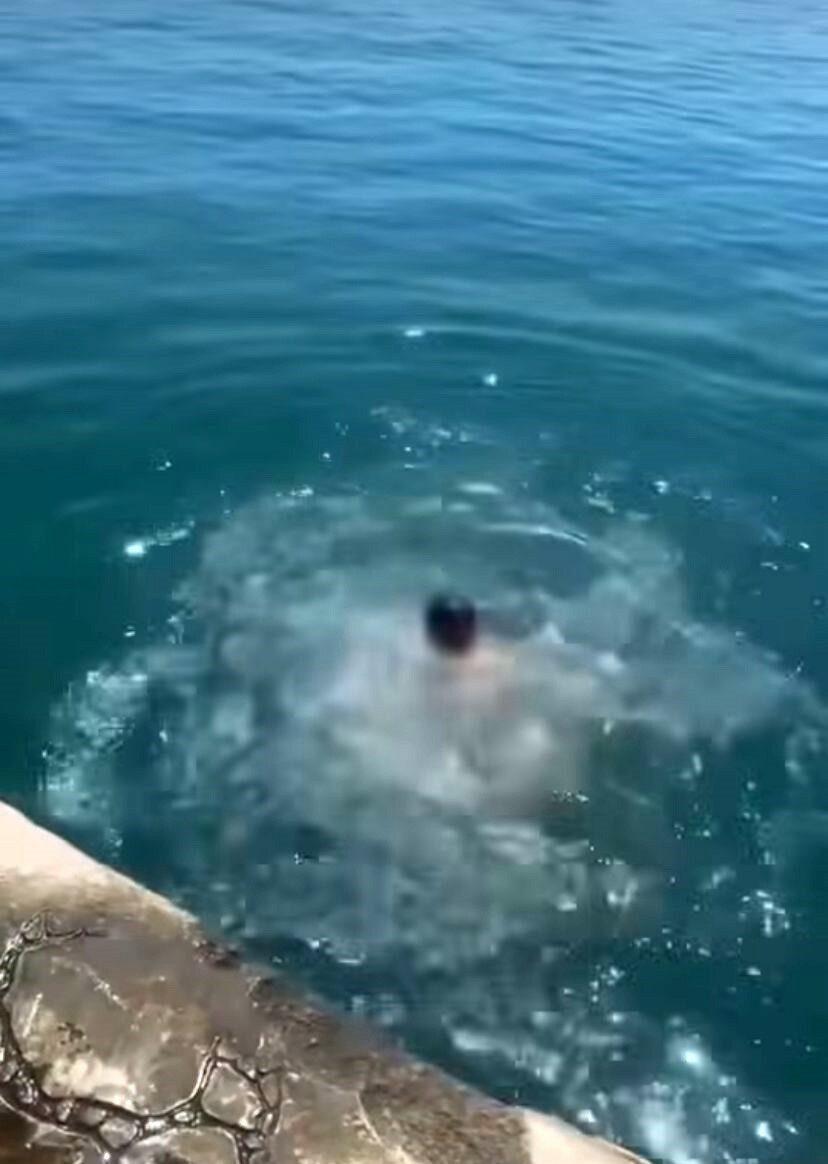 Giresun’un Bulancak ilçesinde yüzme bilmemesine rağmen suya atlayan ve çırpınmaya