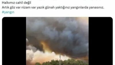 Sakarya’da 5 gündür devam eden orman yangınlarına ilişkin sosyal medyadan