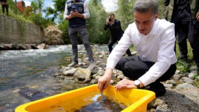 Torul ilçesindeki Çit Deresi mevkiinde 10 bin kırmızı benekli alabalık