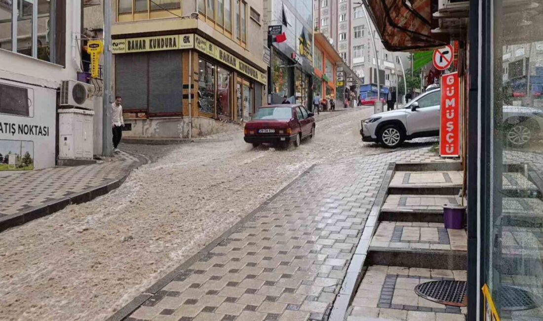 Gümüşhane’de kısa süreli sağanak yağış su baskınlarına yol açtı, bazı