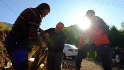 Gümüşhane’nin Tekke beldesinde hayvan üreticileri atalarından miras kalan “nal çakma”