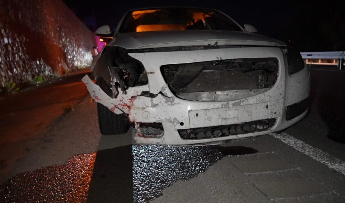 Gümüşhane-Trabzon karayolunda seyir halindeki otomobilin çarptığı ayı telef oldu. Gece