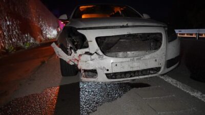 Gümüşhane-Trabzon karayolunda seyir halindeki otomobilin çarptığı ayı telef oldu. Gece