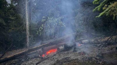 Gümüşhane’de çıkan orman yangını, ekiplerin çalışmasıyla söndürüldü. Yangın, merkeze bağlı