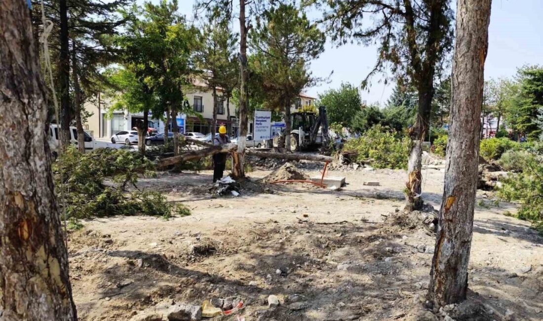 AK Parti Eskişehir İl Başkanı Gürhan Albayrak ve Çifteler İlçe