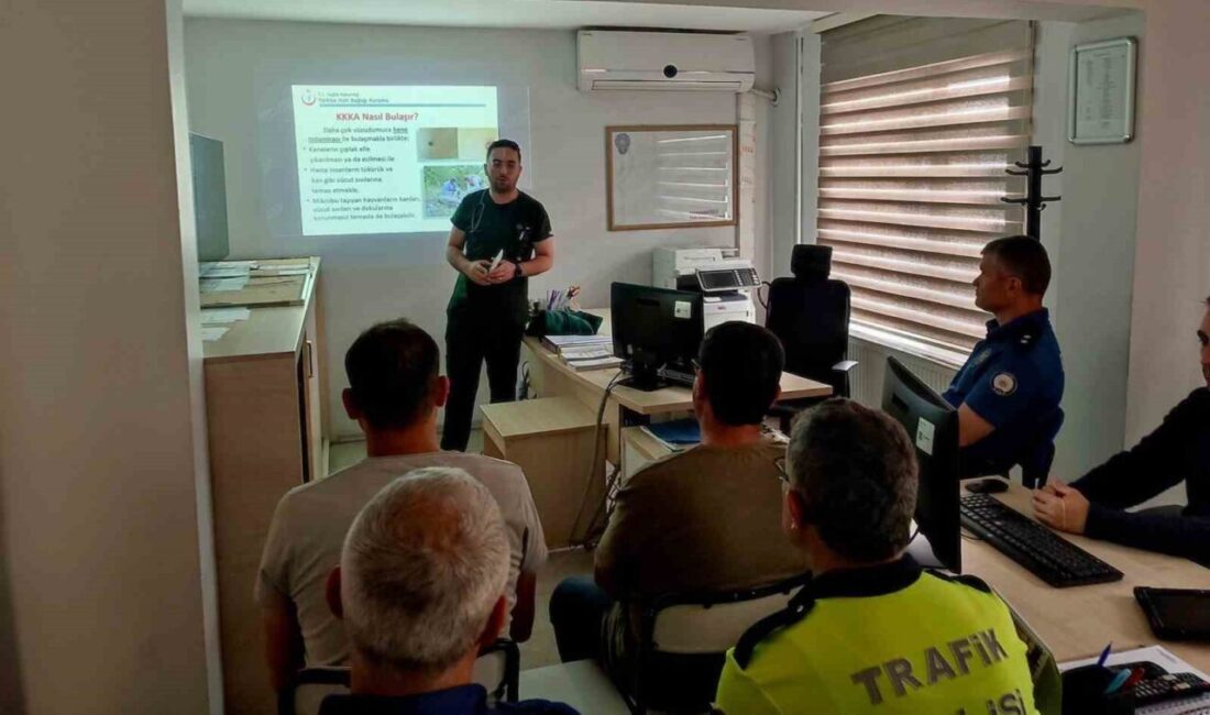Amasya’nın Hamamözü ilçesinde yaz aylarında görülme sıklığı artan Kırım Kongo