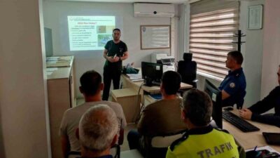 Amasya’nın Hamamözü ilçesinde yaz aylarında görülme sıklığı artan Kırım Kongo