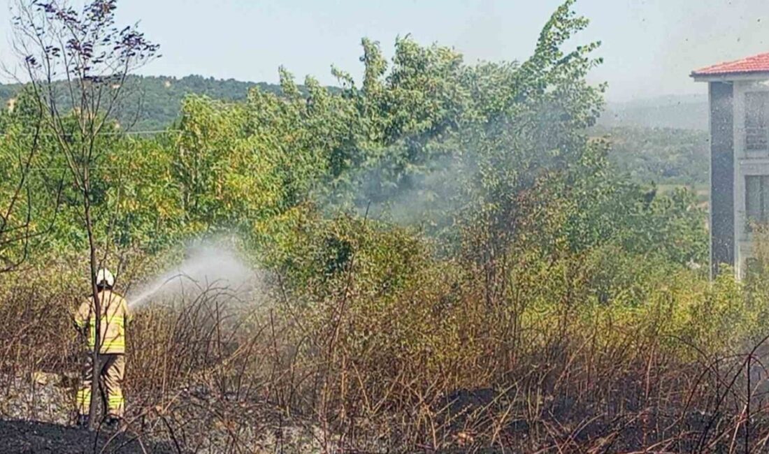 Zonguldak’ın Çaycuma ilçesinde devlet hastanesinin alt kısmındaki otluk alanda çıkan