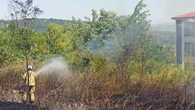 Zonguldak’ın Çaycuma ilçesinde devlet hastanesinin alt kısmındaki otluk alanda çıkan