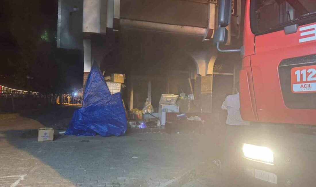 Zonguldak’ın Devrek ilçesinde boya malzemeleri satışı yapılan bir showroomda yangın