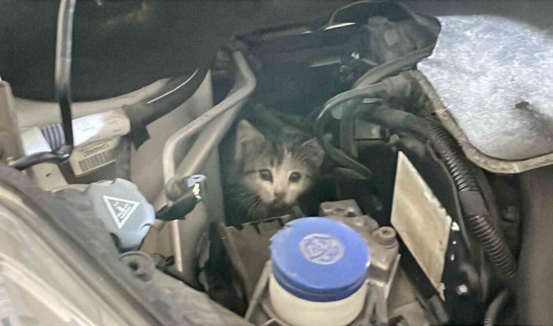 Sivas’ta aracından gelen sesi fark eden vatandaş, itfaiye istasyonuna gelerek