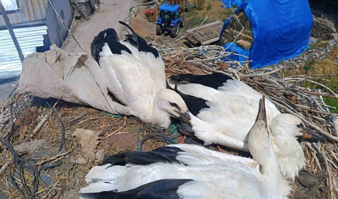 Erzurum’da boynuna poşet dolanan leyleği, itfaiye personeli gerekli müdahaleyi yaparak
