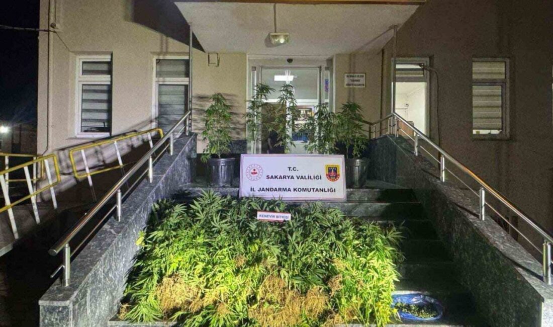 Sakarya’da 1 haftada yapılan uyuşturucu operasyonunda gözaltına alınan 9 şüpheliden