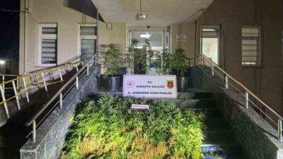 Sakarya’da 1 haftada yapılan uyuşturucu operasyonunda gözaltına alınan 9 şüpheliden
