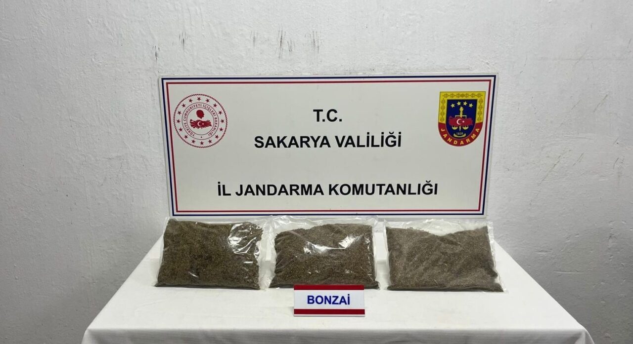 Sakarya’nın Adapazarı ilçesine jandarma ekiplerince yapılan uyuşturucu operasyonunda 64 yaşındaki