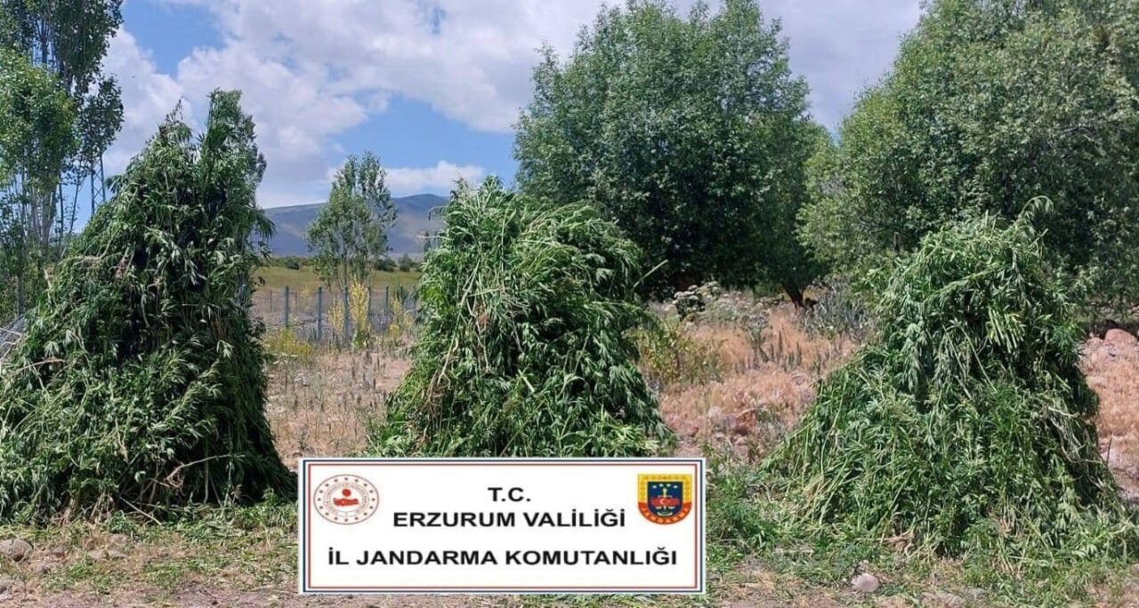 Erzurum İl Jandarma Komutanlığı Kaçakçılıkla Mücadele Şube Müdürlüğü koordinesinde Pasinler