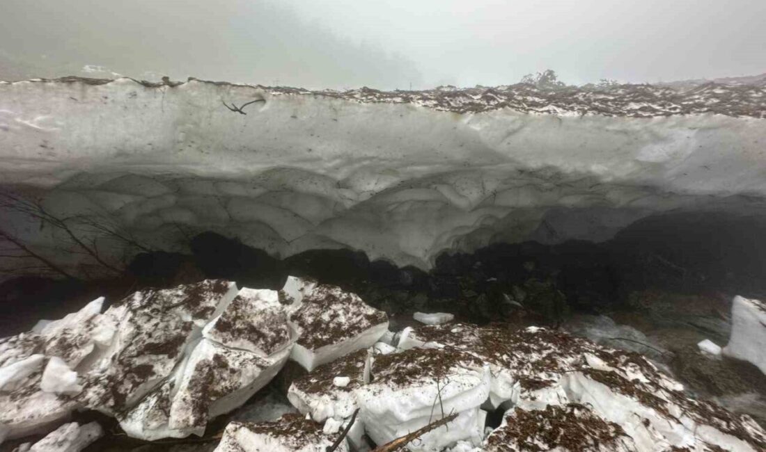 Rize’nin Çamlıhemşin ilçesine bağlı Galer Düzü Yaylası’nda fotoğraf çekilmek isterken