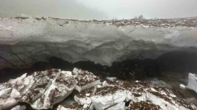 Rize’nin Çamlıhemşin ilçesine bağlı Galer Düzü Yaylası’nda fotoğraf çekilmek isterken