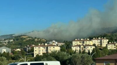 Kocaeli’nin Karamürsel ilçesinde ormanlık alanda yangın çıktı. Çok sayıda ekip