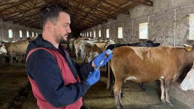 Doğu Anadolu’nun önemli hayvancılık merkezlerinden birisi olan Kars’ta, şap hastalığına