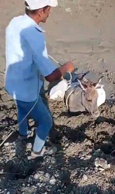 Kars’ta çamura saplanan eşeği, vatandaşlar kurtardı. Kars’ın Akyaka ilçesine bağlı