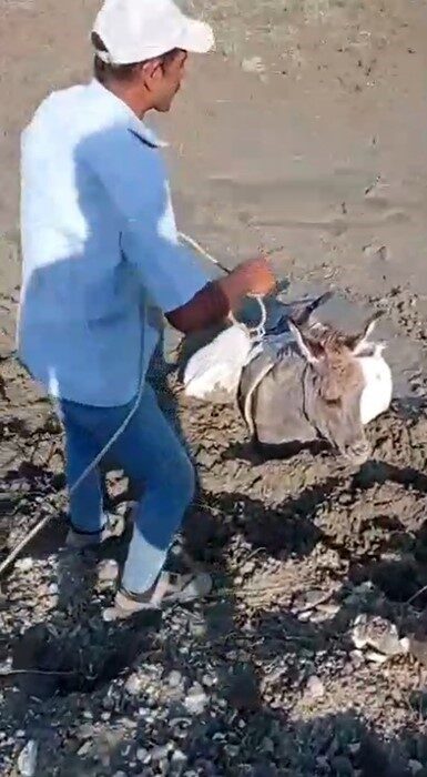 Kars’ta çamura saplanan eşeği, vatandaşlar kurtardı. Kars’ın Akyaka ilçesine bağlı