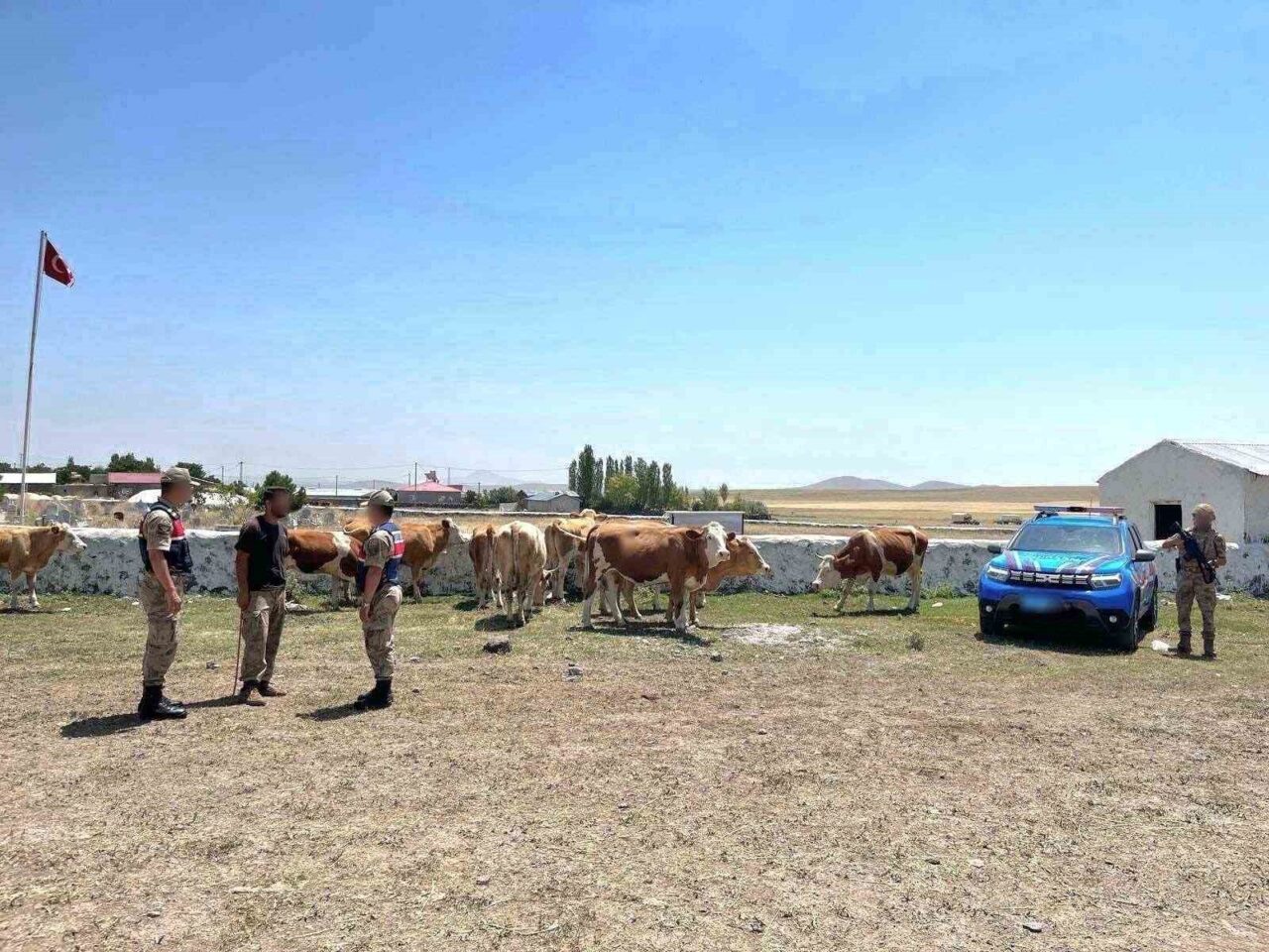 Kars’ta kaybolan 10 büyükbaş hayvan jandarma ekiplerince bulundu. Kars’ta 112