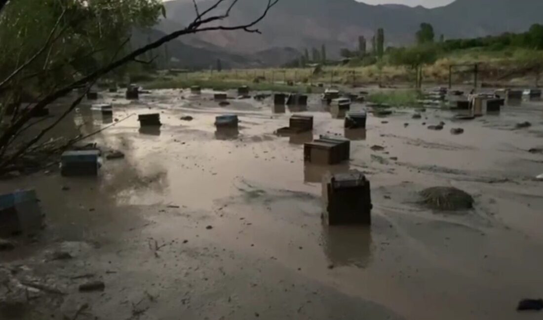 Kars’ta etkili olan sağanak yağış sele neden oldu, sel suları