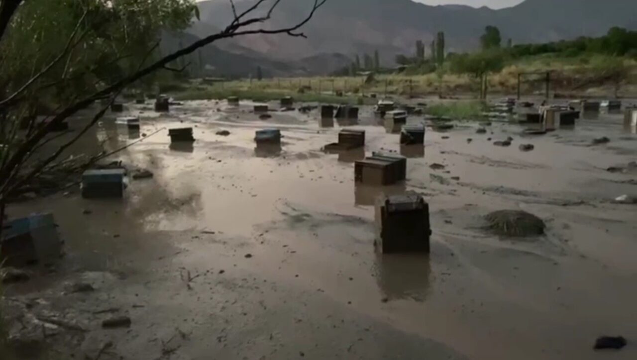 Kars’ta etkili olan sağanak yağış sele neden oldu, sel suları