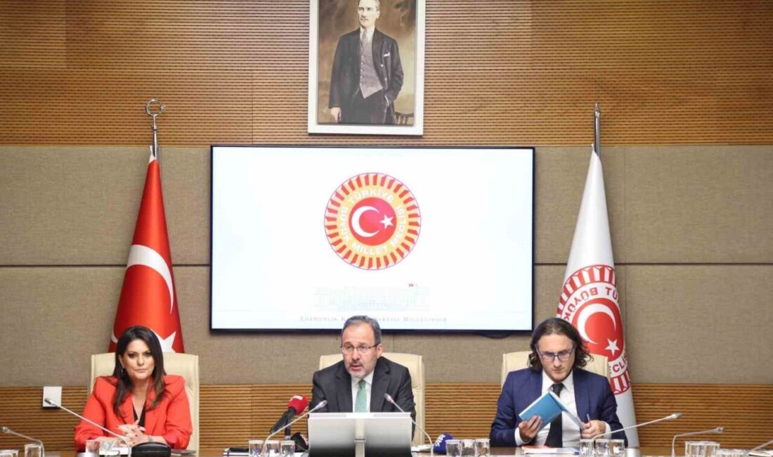 Türkiye Büyük Millet Meclisi (TBMM) Engelli Bireylerin Sorunlarını Araştırma Komisyonu