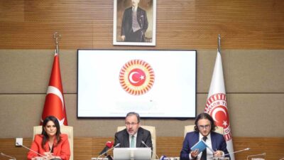 Türkiye Büyük Millet Meclisi (TBMM) Engelli Bireylerin Sorunlarını Araştırma Komisyonu