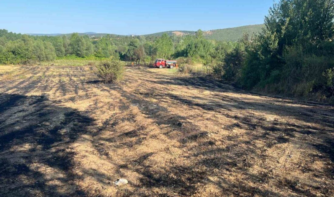 Kastamonu’nun Doğanyurt ilçesinde elektrik tellerinin kopması sonucu çıkan orman yangını,