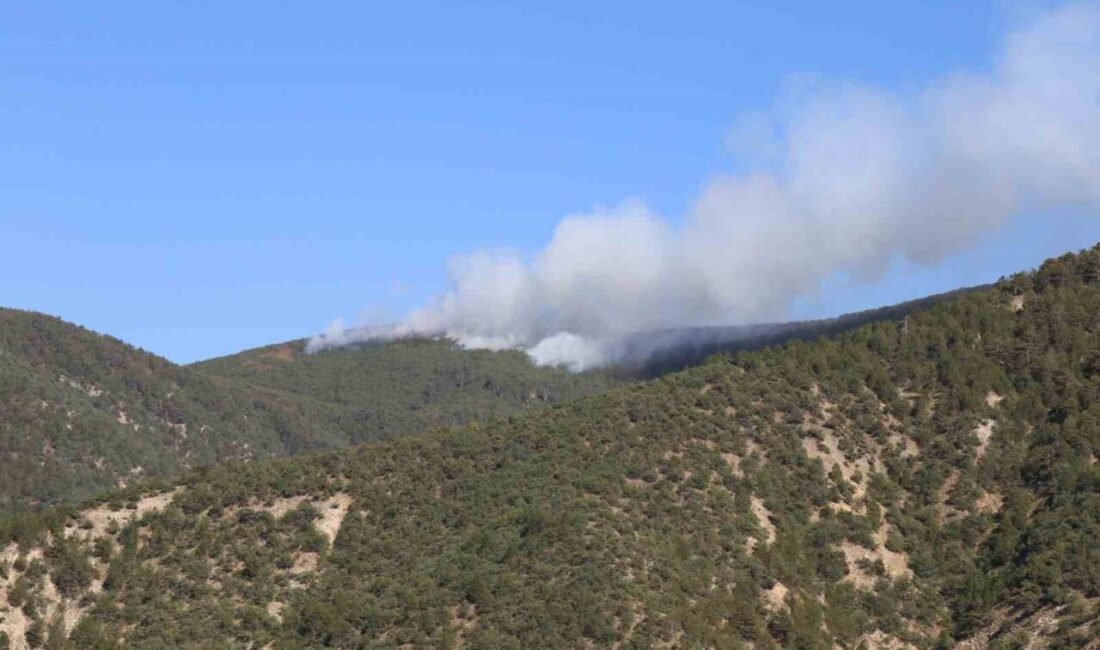 Kastamonu’da ormanlık alanda yangın çıktı. Yangın ekipler karadan ve havadan