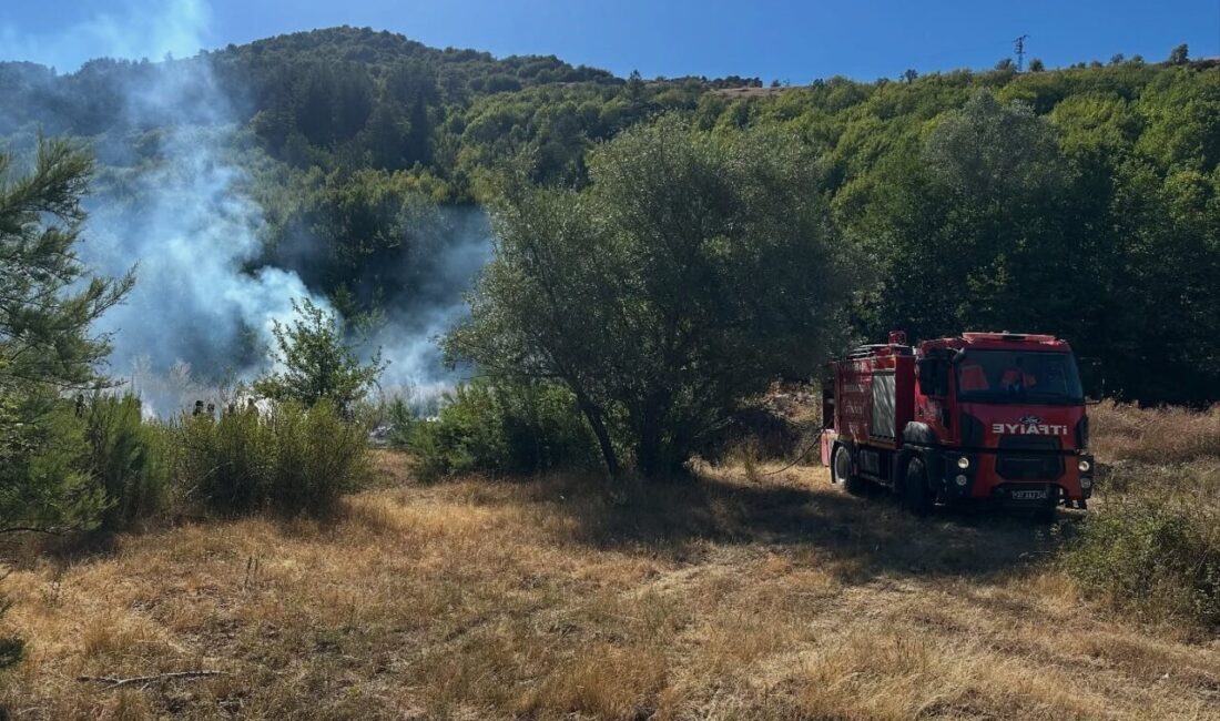 Kastamonu’nun Pınarbaşı ilçesinde ormanlık alanda çıkan yangın ekiplerin kısa sürede