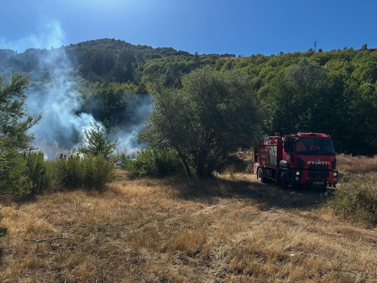Kastamonu’nun Pınarbaşı ilçesinde ormanlık alanda çıkan yangın ekiplerin kısa sürede