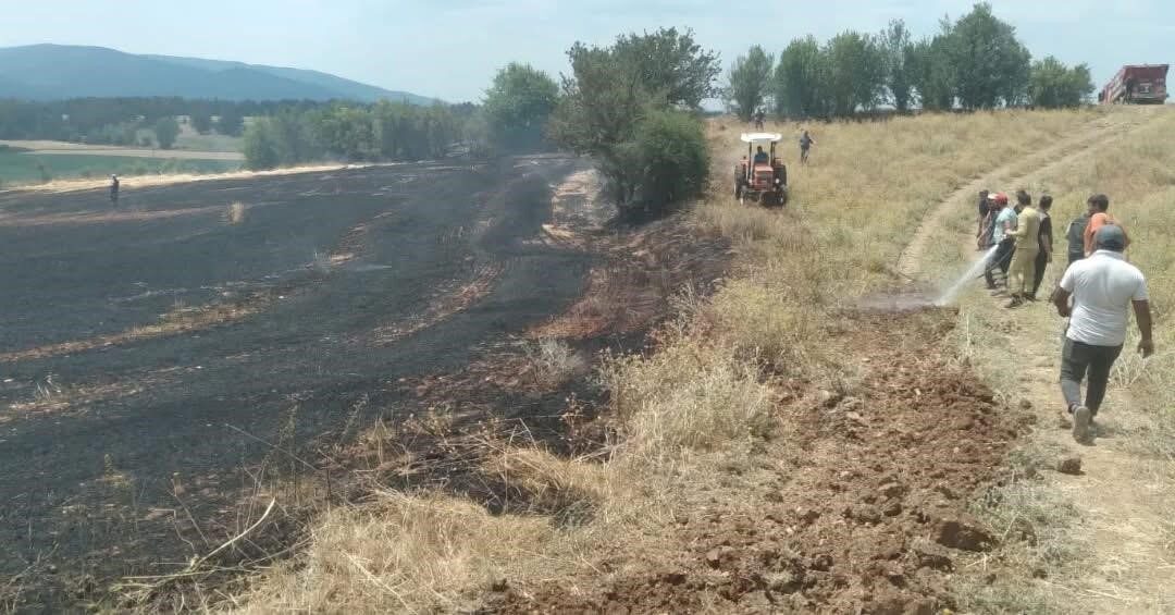 Kastamonu’nun Daday ilçesinde tarım arazisinde çıkan yangın ekipler tarafından söndürüldü.